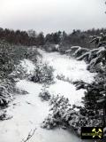 Sand.- Kiesgrube Babben bei Crinitz im Spreewald, Brandenburg, (D) (5) 24. Januar 2015.JPG